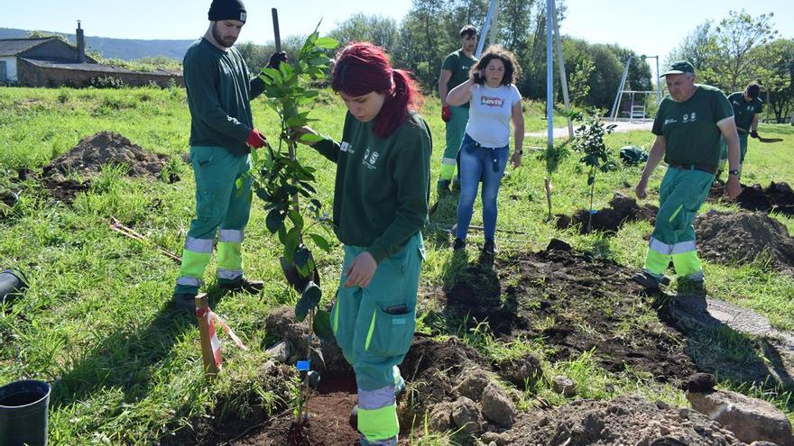 Mina Mercedes, la laguna que se enriquece con árboles