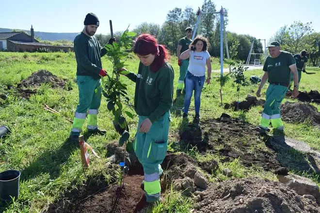 Mina Mercedes, la laguna que se enriquece con árboles