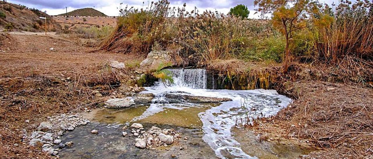 El paraje Los Algezares de Aspe se extiende por 507 hectáreas. | ÁXEL ÁLVAREZ