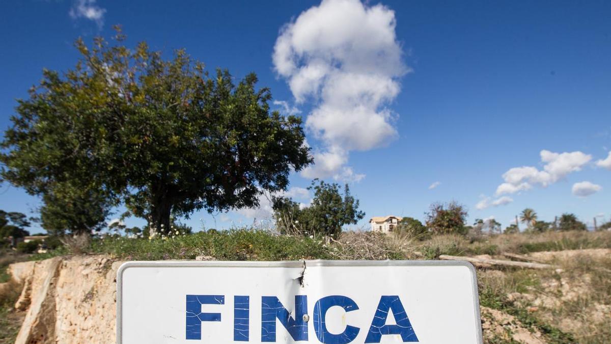 Alicante desbloquea el desarrollo de Pino y Ruaya tras más de 30 años de conflicto judicial y proyecta 2.544 viviendas