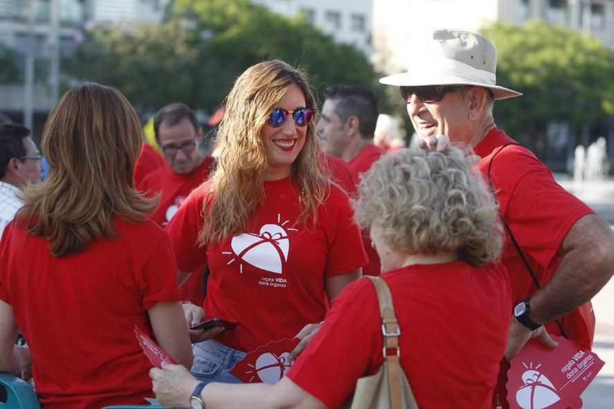 Fotogalería / Marcha del donante