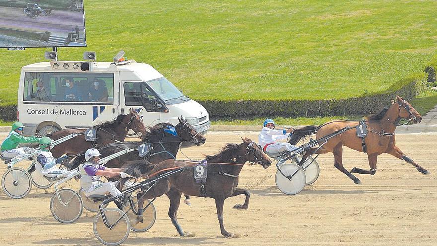 Multan con 150.000 euros al hipódromo de Son Pardo por incumplir la Ley del Juego