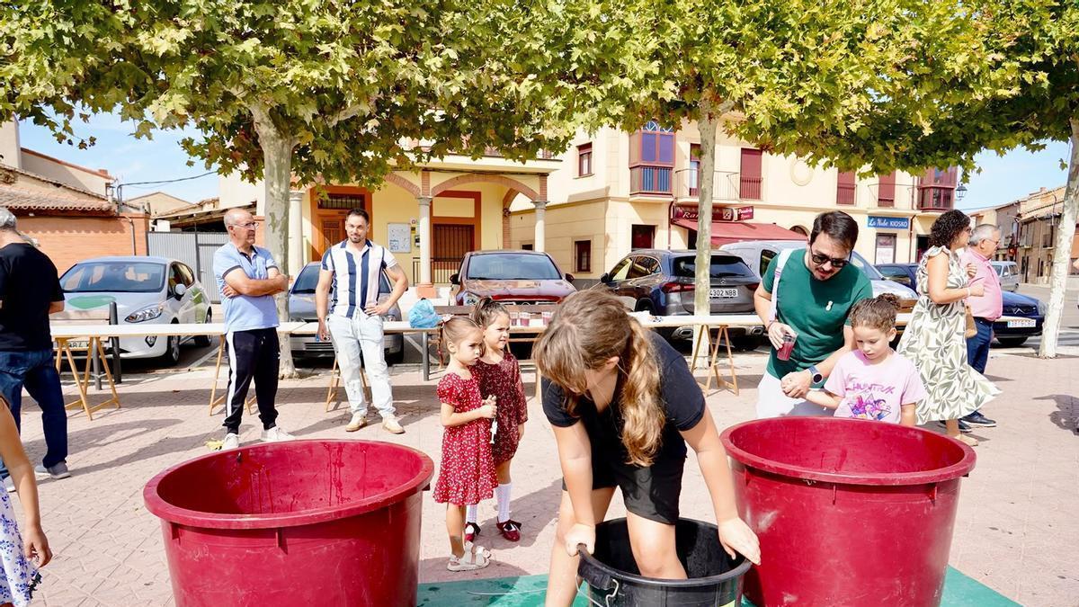 Productos de la tierra y buen ambiente en la Fiesta de la Vendimia de Moraleja del Vino