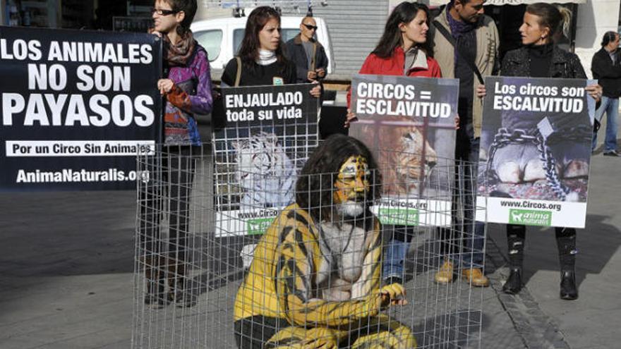 Protesta AnimaNaturalis tanca un home en una gàbia en suport a la moció