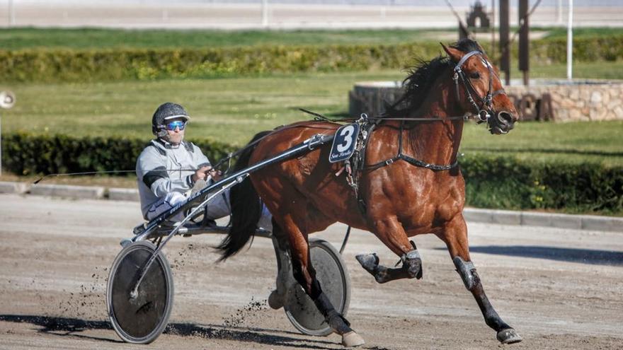 El campeÃ³n frances Valoinic en su victoria con Toni Riera &#039;Prim&#039;