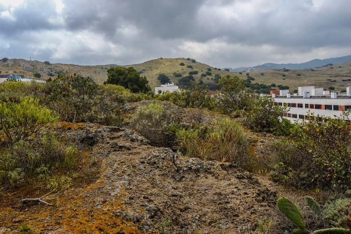 Las Palmas de Gran Canaria. yacimiento Lomo de San Gregorio, Ciudad del campo.  | 28/03/2019 | Fotógrafo: José Carlos Guerra