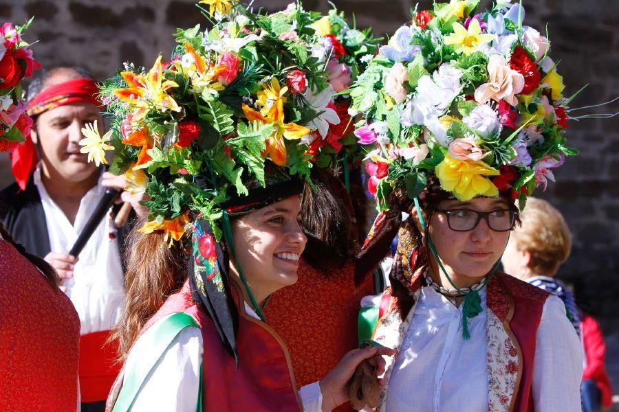 Día de la Provincia 2016 en Villardeciervos