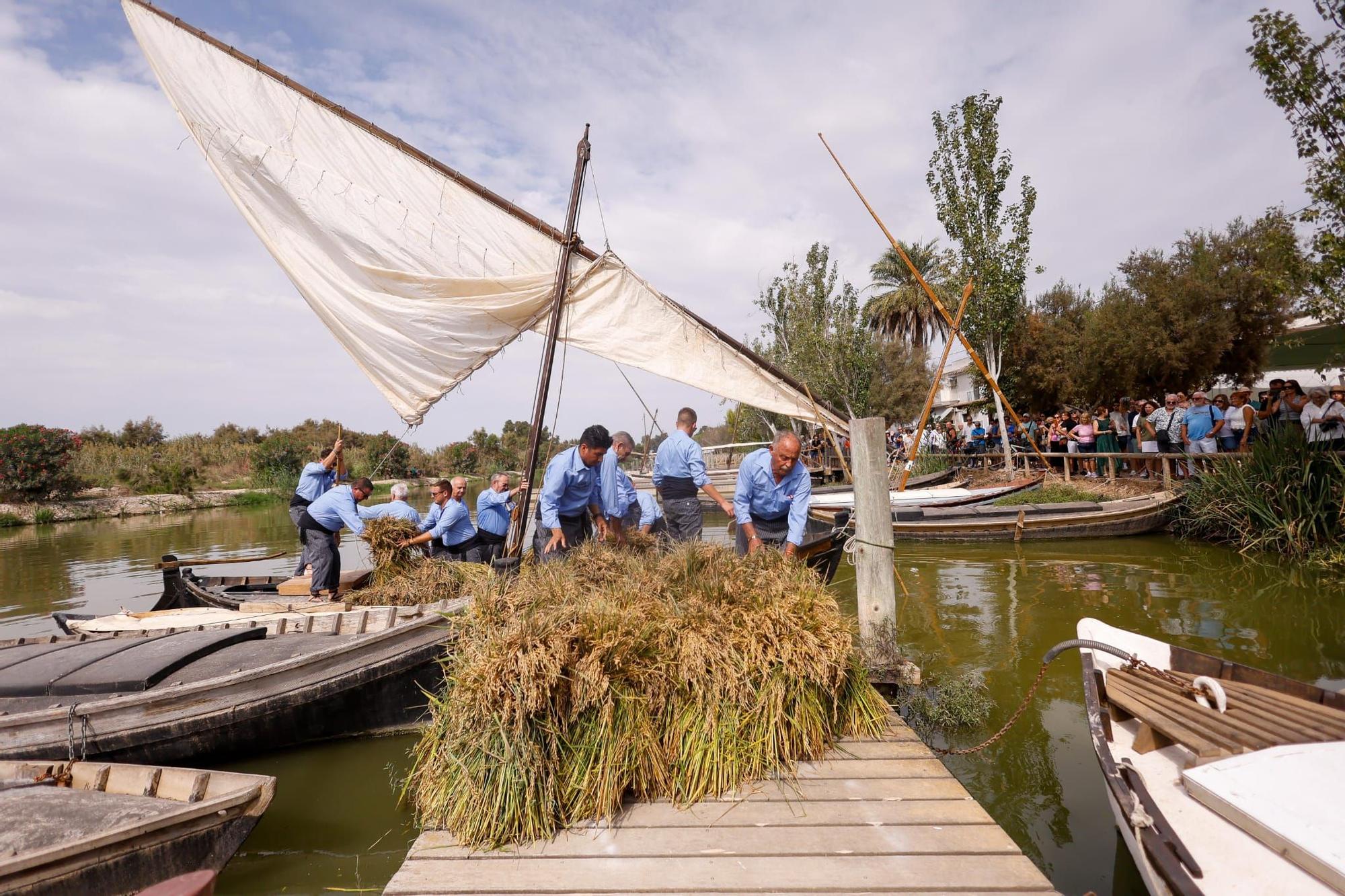 El puerto de Catarroja reúne a 5.000 personas en la Fiesta de la siega del arroz