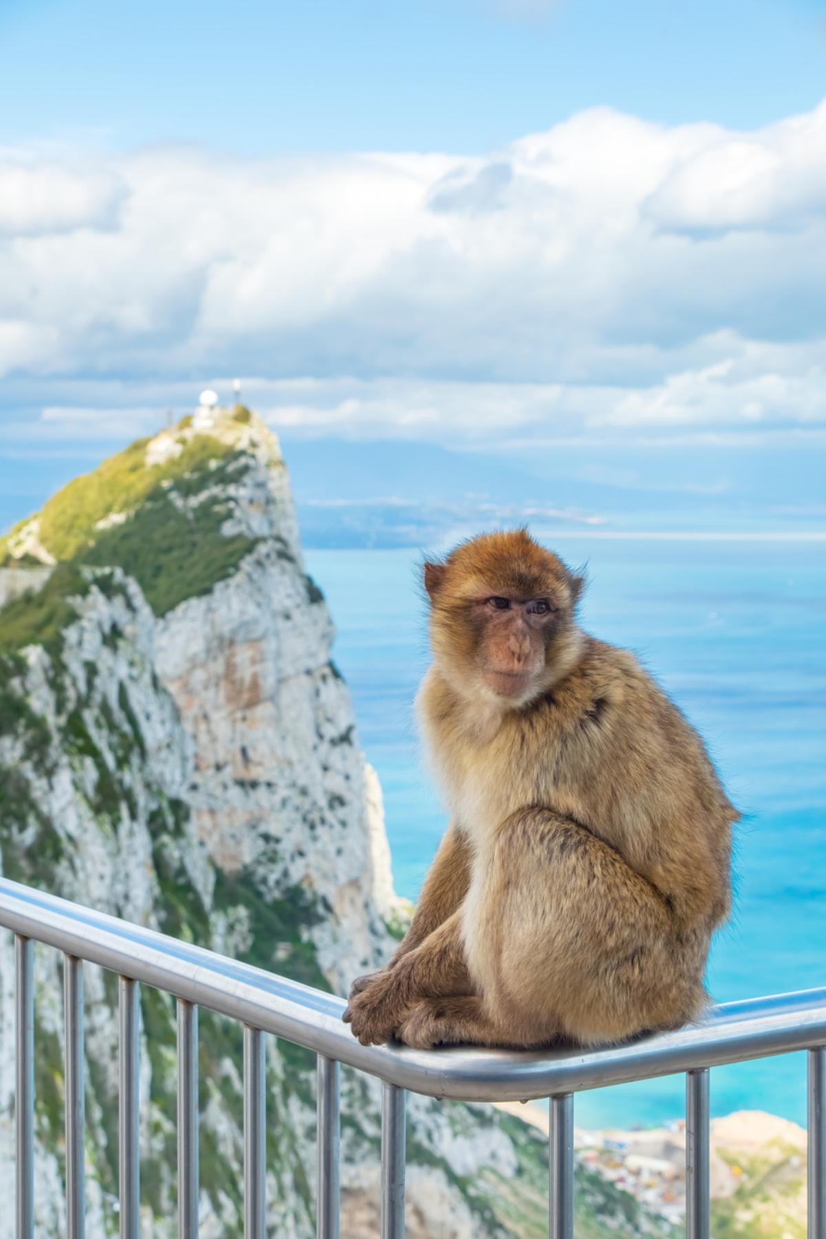 Vista de Gibraltar