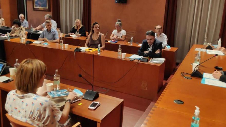 Moment del ple, amb Marc Aloy presidint la sessió