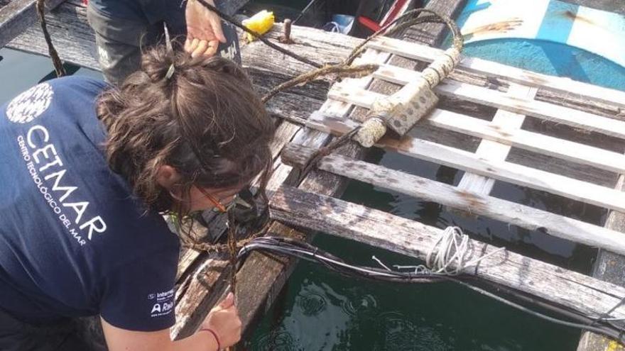 El Cetmar prepara su 25 aniversario tras realizar casi 60 proyectos el año pasado