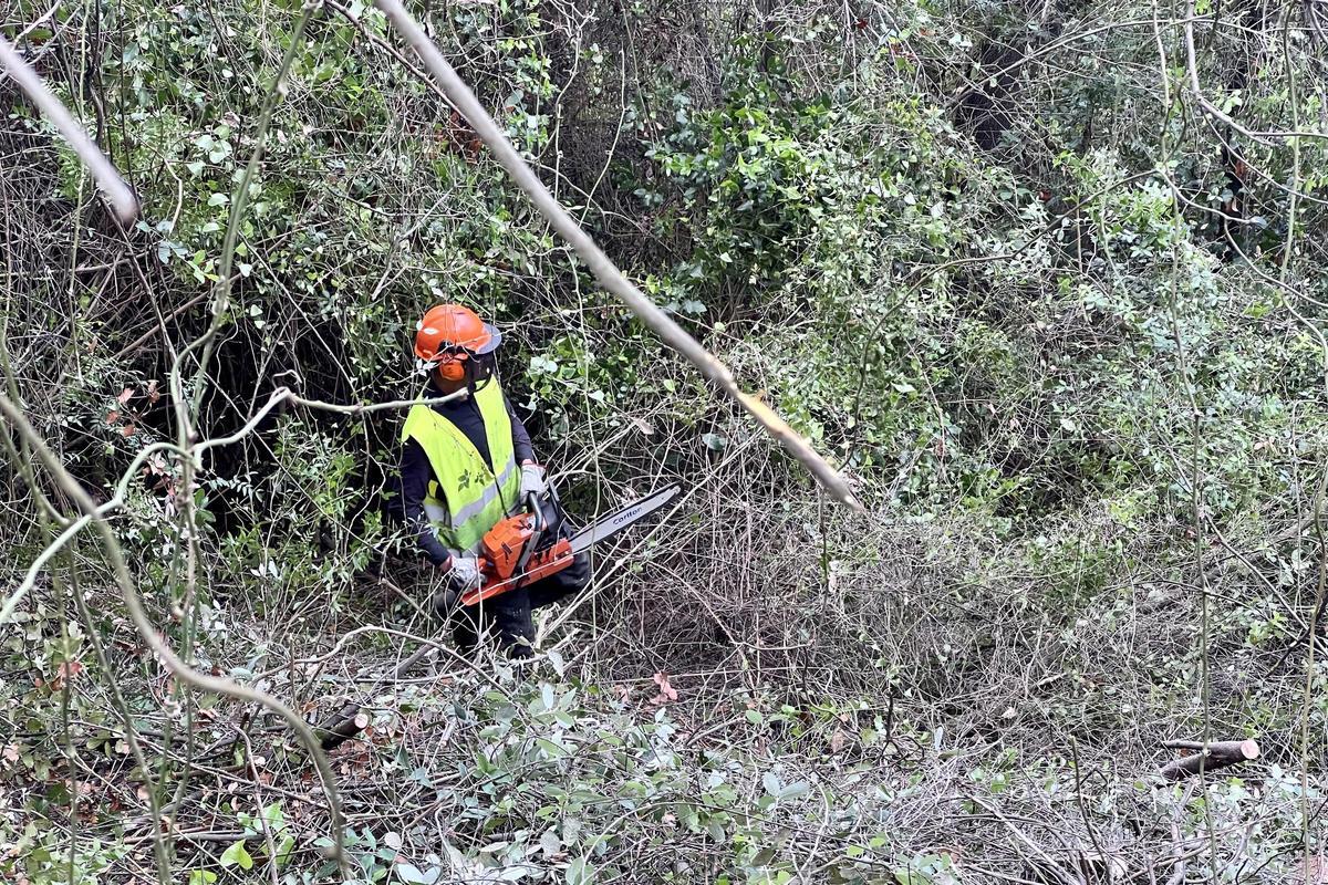 Els propietaris privats de Collserola s’uneixen per primera vegada per prevenir incendis i alleujar la sequera als boscos