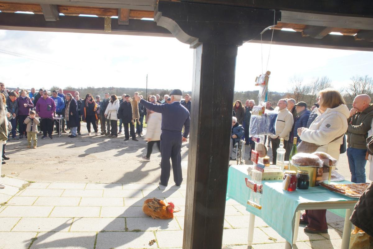 San Antón "triunfa" en San Vitero