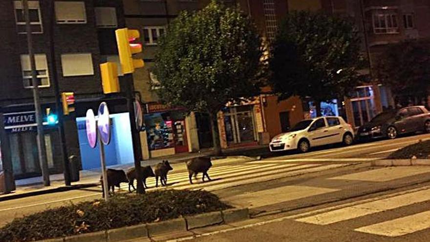 Un grupo en la avenida de Gaspar García Laviana.