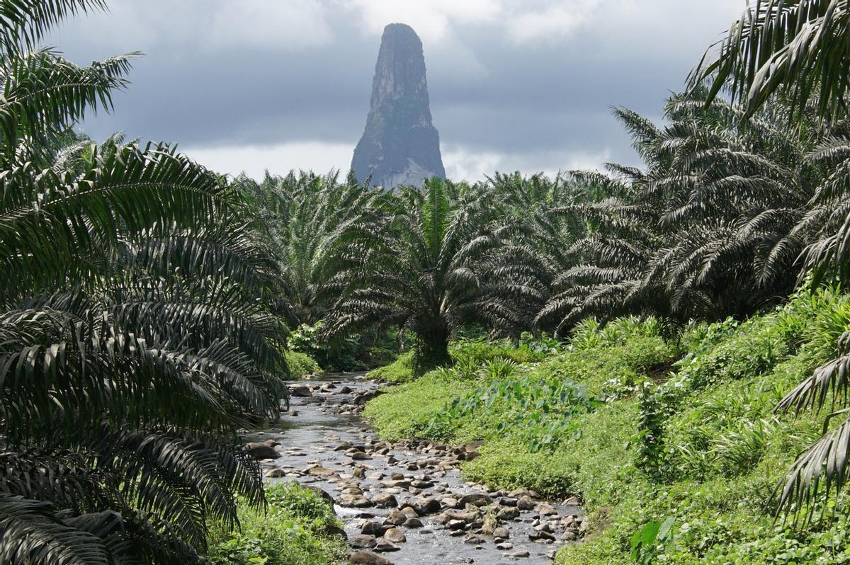 El Pico Cão Grande es un impresionante pitón volcánico en forma de aguja situado en el Parque Natural Obô y se eleva verticalmente más de 300 metros sobre la selva circundante.