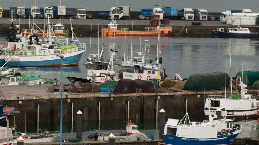 Puerto y placeros, contra el recorte de cuota de merluza: “Va a quedar para privilegiados”