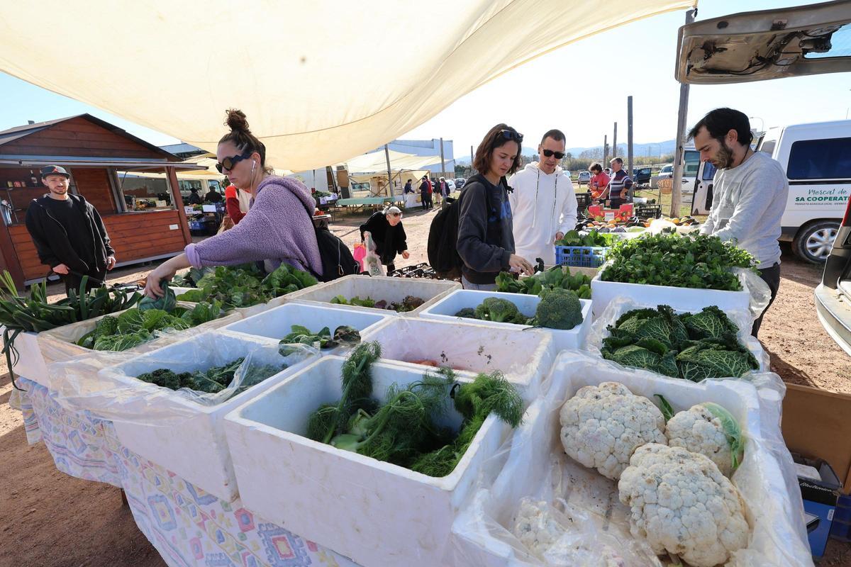 Galería: mercadillo de los productos del campo