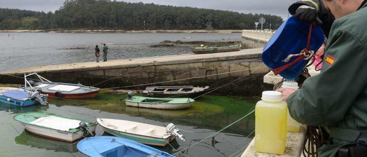 Vista de Carril y Cortegada a donde llegó a principios del siglo XX el buque de emigrantes &quot;Mark&quot;. // N.P.