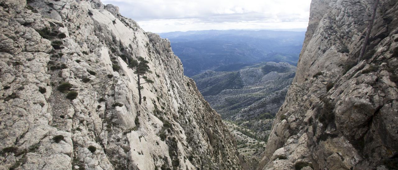 La mayoría de los espacios naturales tienen alta polución en agua, suelos y sedimentos