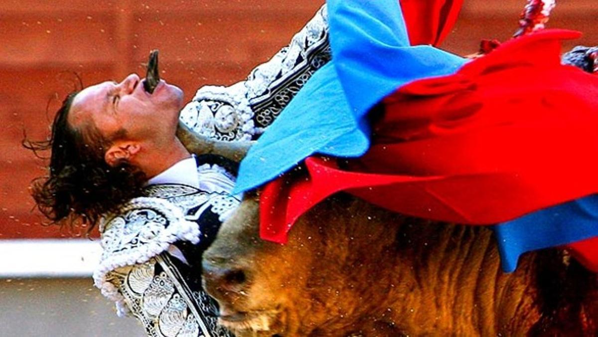 Terrible moment en què un toro de lídia agafa pel coll el torero Julio Aparicio durant la Feria de San Isidro.