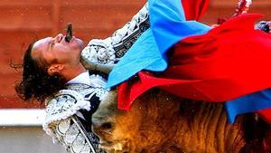 Terrible moment en què un toro de lídia agafa pel coll el torero Julio Aparicio durant la Feria de San Isidro.