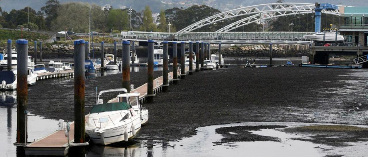 Problemas con el dragado del Lérez en el Club Naval de Pontevedra. |   // GUSTAVO SANTOS