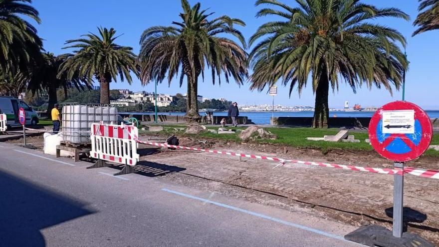 Más plazas en Santa Cristina tras morir unas palmeras