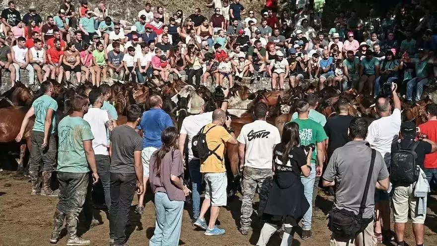 Rapa das bestas de Cuspedriños