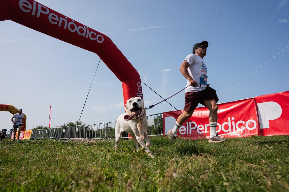 Carrera Can We Run 2025