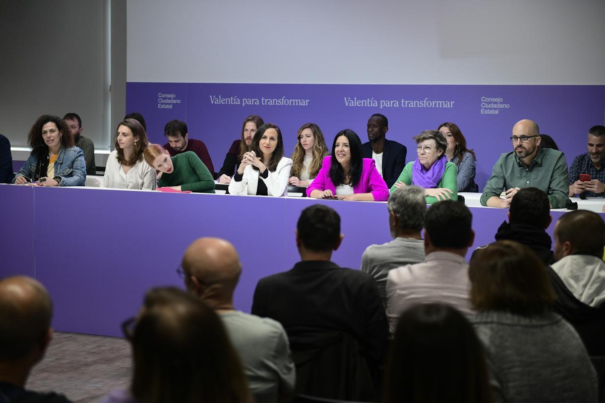 Consejo Ciudadano Estatal de Podemos, el máximo órgano de decisión política del partido