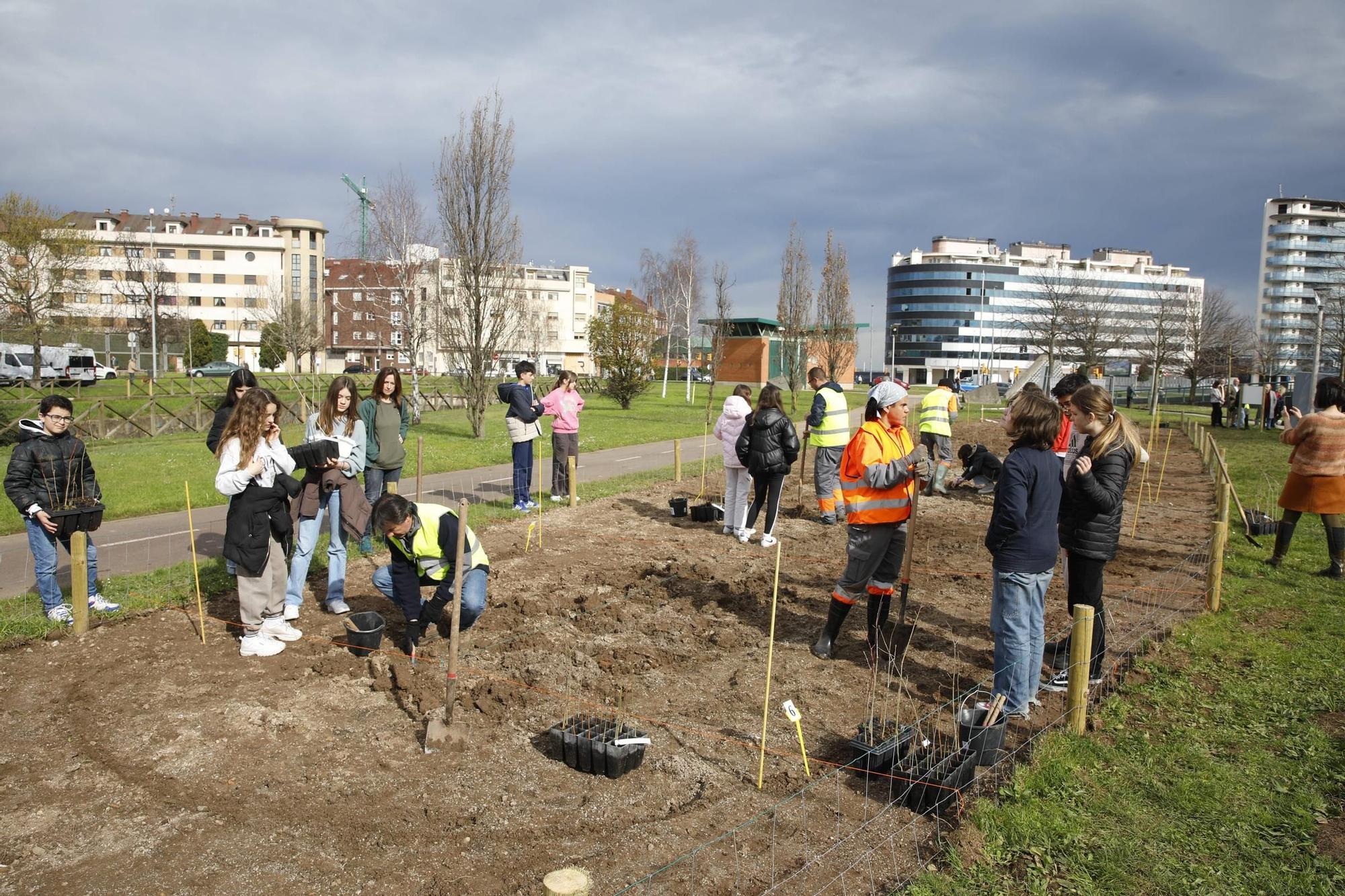 El secretario de Estado Hugo Morán participa en la plantación de minibosques en Gijón (en imágenes)