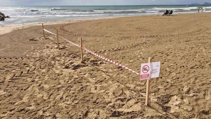 El Puig cierra las playas de Medicalia y Puig-Val por un vertido de aguas fecales