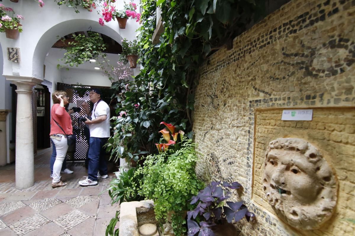 Paseando por el Alcázar Viejo