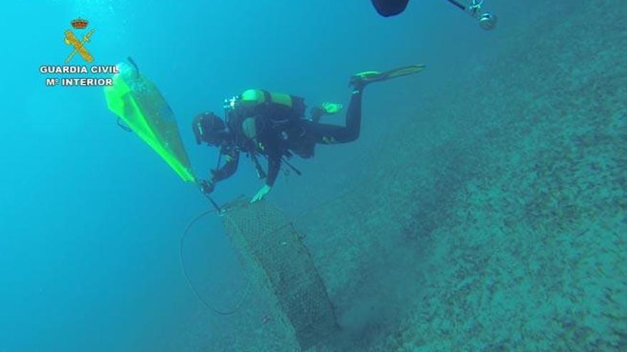 Intervenidas dos nasas ilegales en Gran Canaria