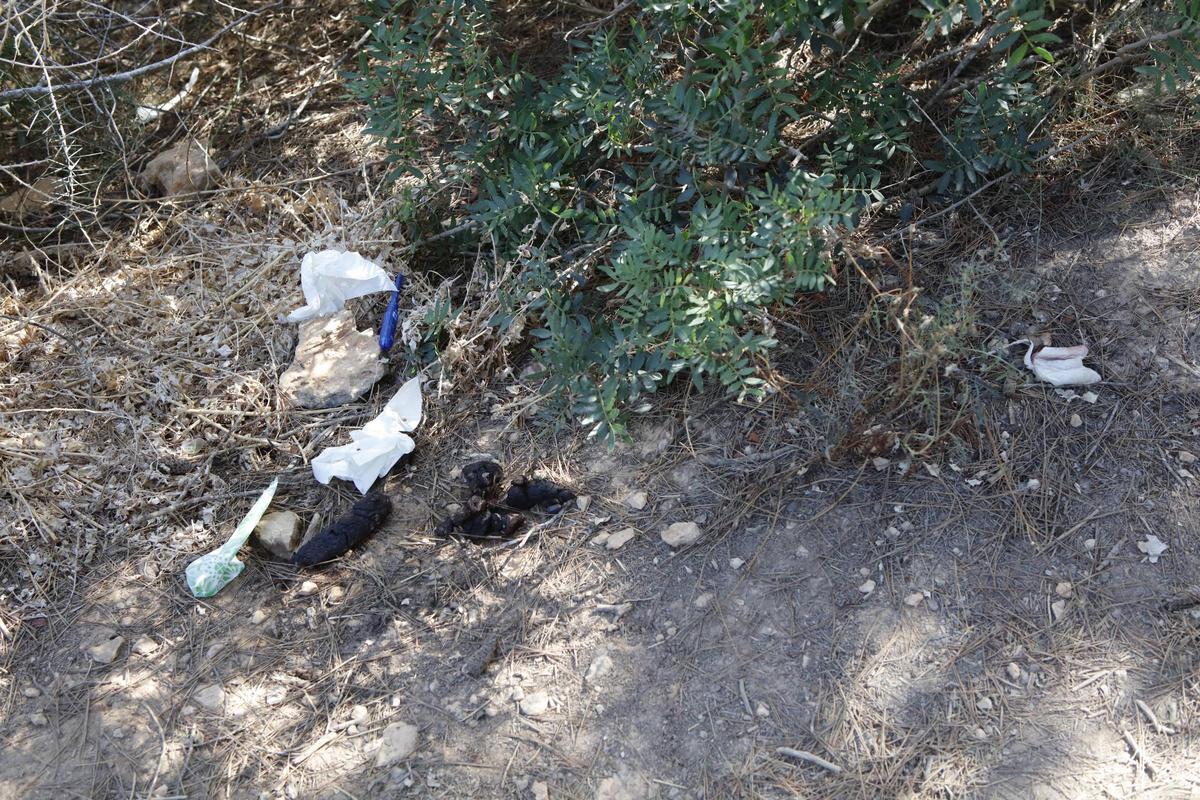 Auch diese Funde macht die Eigentümerfamilie im Sommer quasi täglich in ihrem Grundstück.