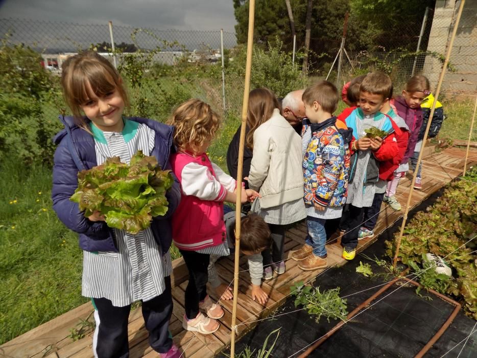 Un hort intergeneracional al pati de l'escola Paidos