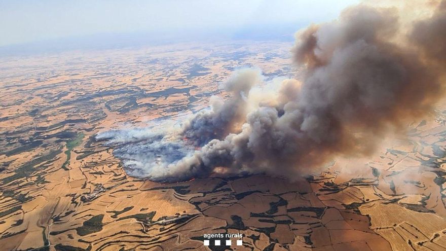 El incendio, visto desde Palou