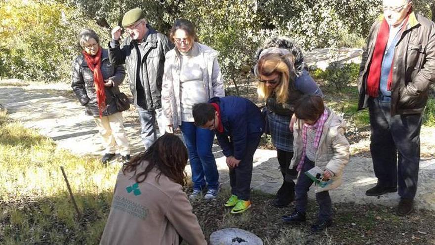 Unas jornadas acercan al mundo de las setas