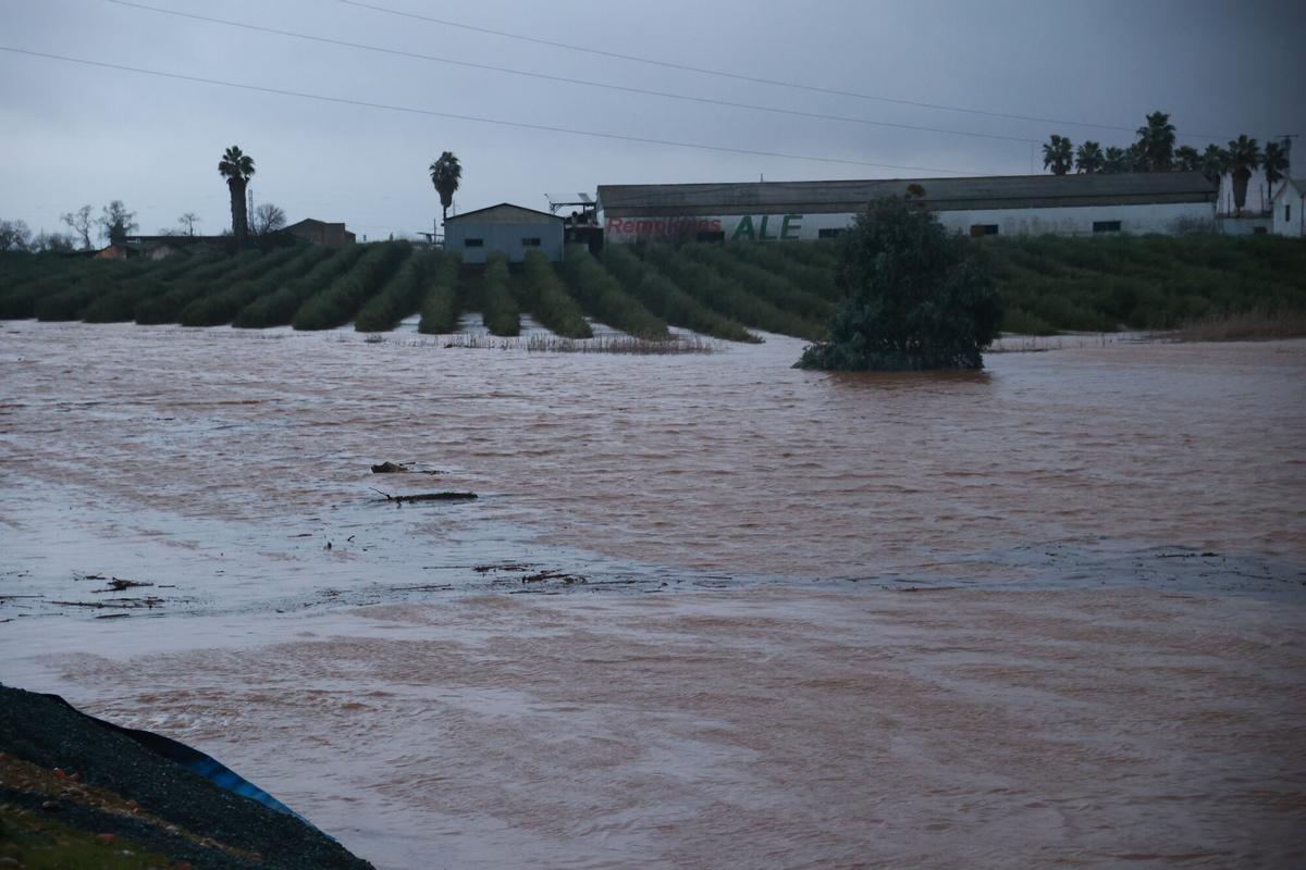 La lluvia anega varias zonas de Lora del Río (Sevilla), que se protege con bombas de desagüe. A 07 de febrero de 2026 en Lora del Río, Sevilla, Andalucía (España). El municipio sevillano de Lora del Río está viviendo con preocupación estas últimas horas por el riesgo de colapso de los tanques de tormenta, sobre todo, a raíz de la fuerte tromba que ha caído en esta tarde, que ha provocado inundaciones en algunas zonas, que poco a poco van recobrando la normalidad gracias al uso de bombas de desagüe. 07 FEBRERO 2026;LORA DEL RÍO;SEVILLA;INUNDACIÓN;LLUVIA;DESAGÜE;DESALOJO;ANDALUCÍA;BORRASCA Rocío Ruz / Europa Press 07/02/2026. Rocío Ruz