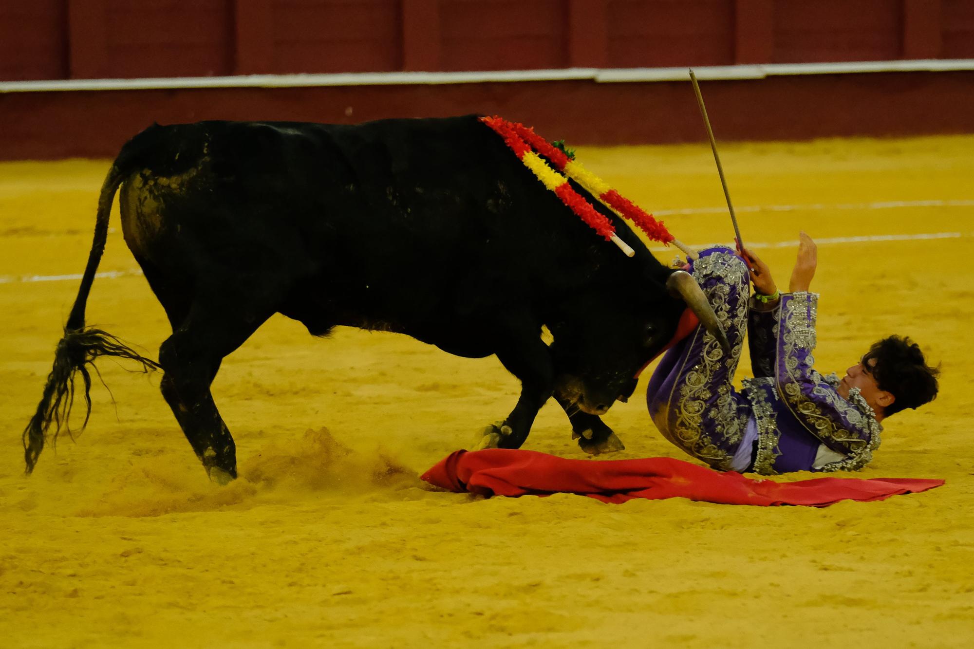 Toros en la Feria I Séptima corrida de abono en la Malagueta