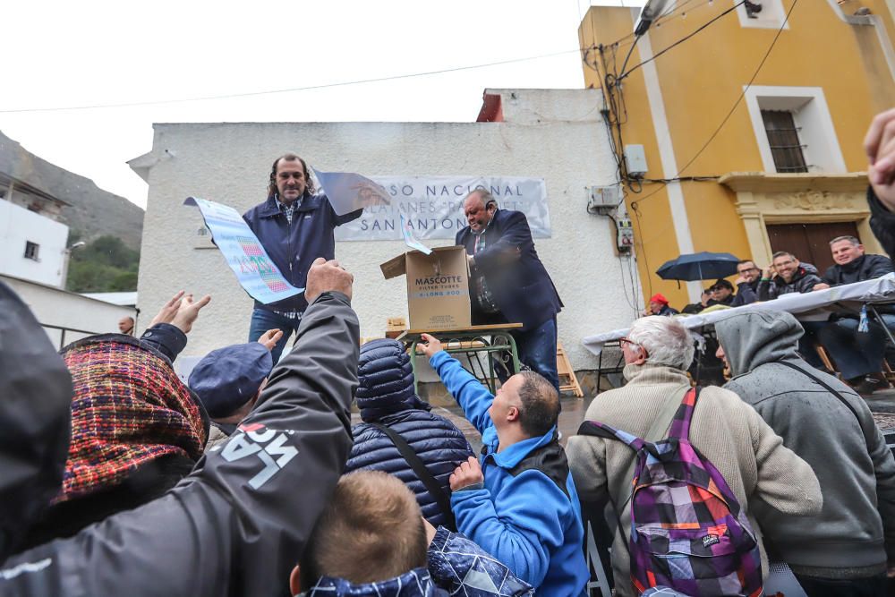 Orihuela celebra San Antón con el concurso de charlatanes, bendición y distinciones