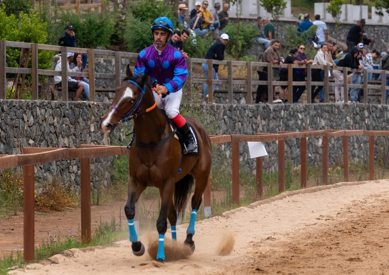 Carrera de caballos III Copa San Vicente Ferrer en Valleseco