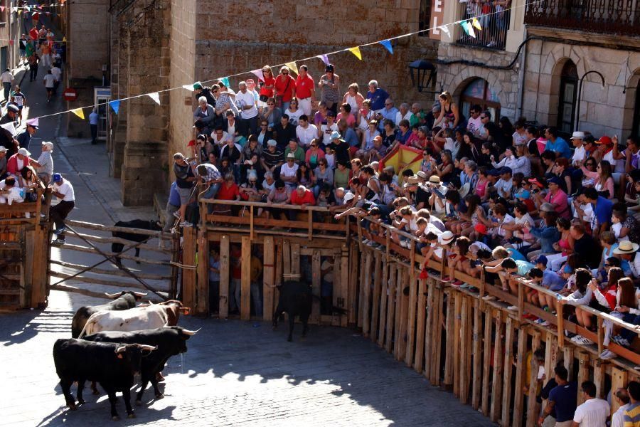 Fiestas en Zamora: Último encierro en Fermoselle