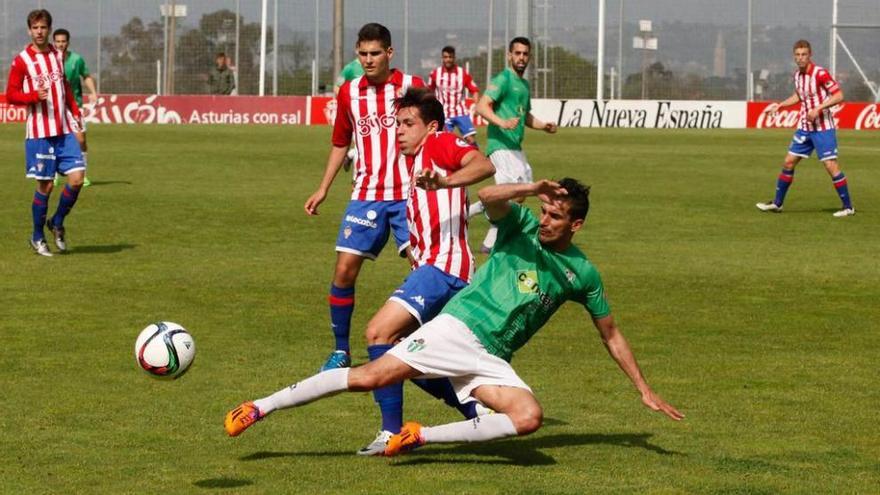 Álvaro Bustos trata de evitar la entrada de un futbolista del Guijuelo.