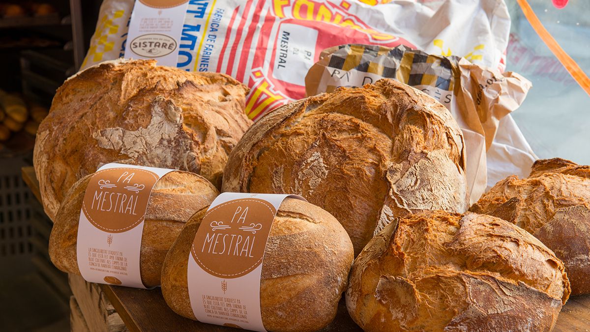 Panes artesanos elaborados con harinas tradicionales y recetas locales, base imprescindible de la cocina catalana.