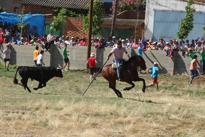 Encierro en Guarrate