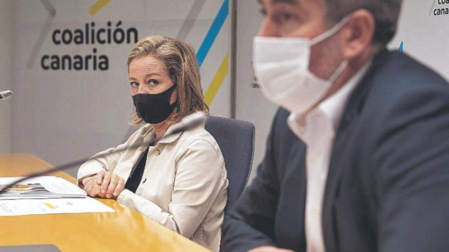 La diputada de Coalición Canaria, Ana Oramas, y el senador nacionalista Fernando Clavijo.