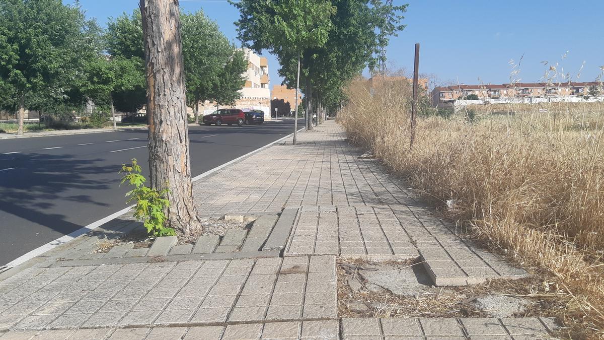 Quien desee transitar por este acerado de la calle juan josé narbón en silla de ruedas, con muletas o con la necesidad de un bastón, lo tiene un poco complicado por el deterioro del pavimento. es otra de las fotos enviadas por los ciudadanos con su móvil a ‘accesibilidadapp’.