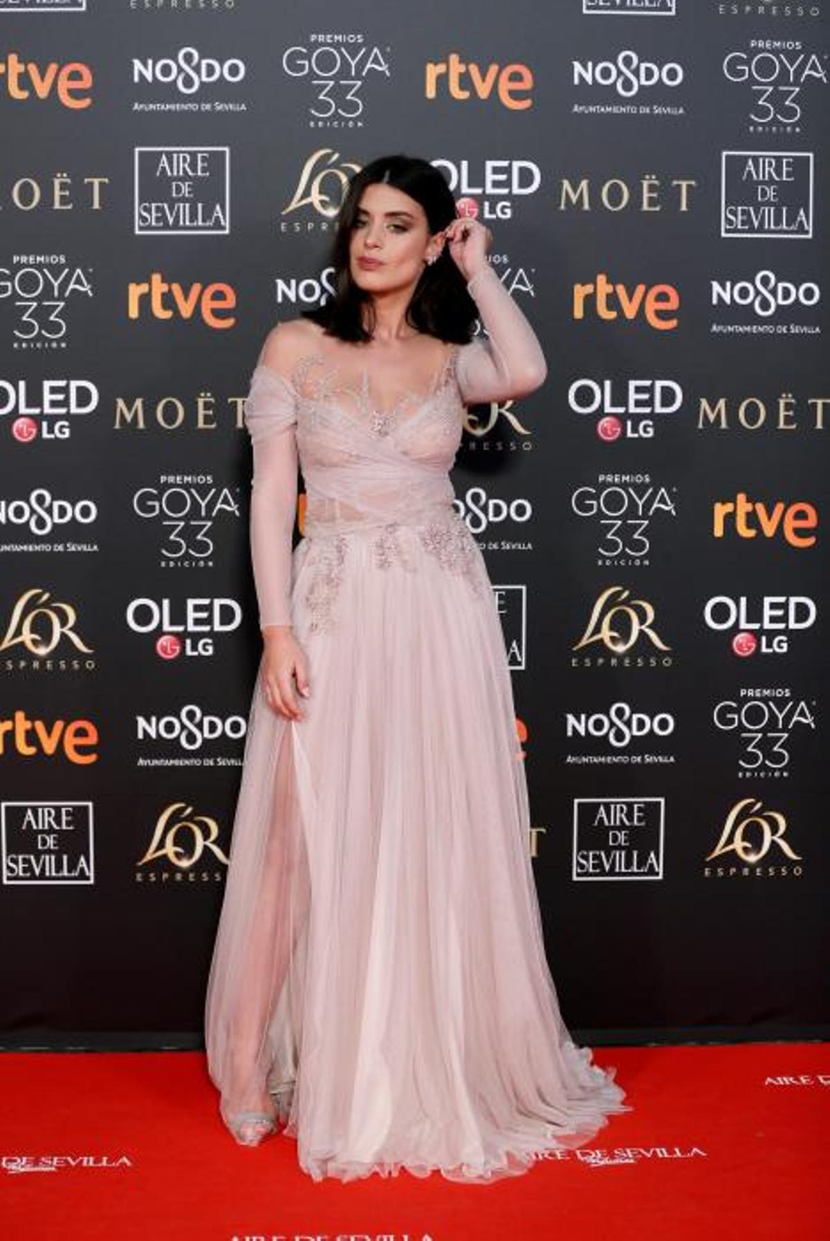 Premios Goya 2019 Premios Goya 2019