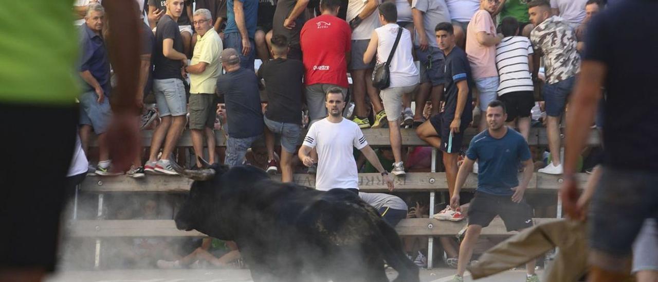 Un festejo de ‘bous al carrer’ a principios de este mes en Benifairó de les Valls.